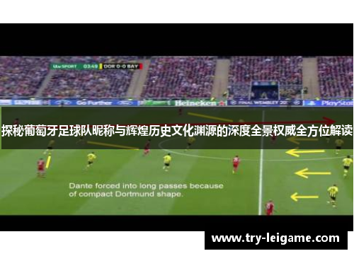 探秘葡萄牙足球队昵称与辉煌历史文化渊源的深度全景权威全方位解读