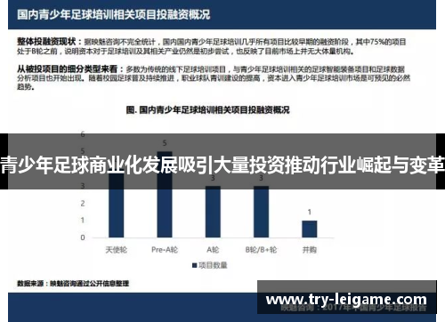 青少年足球商业化发展吸引大量投资推动行业崛起与变革